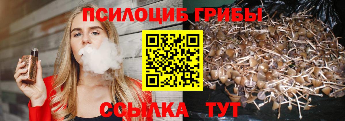 Галлюциногенные грибы прущие грибы Коломна